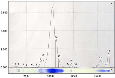 Acute phase proteins levels in horses, after a single carbohydrate overload, associated with cecal alkalinization